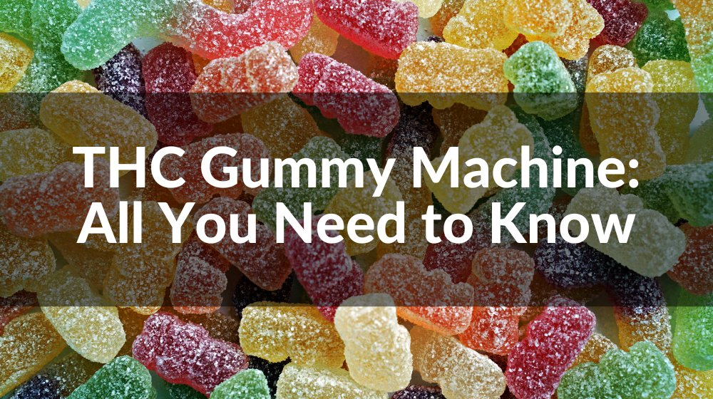 Gummy Bear Making Machine: What You Need to Know